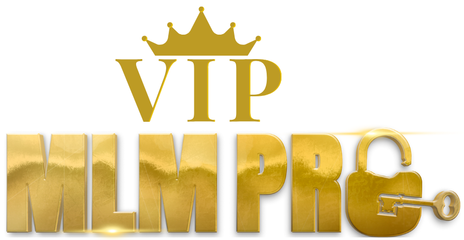 9logo vip